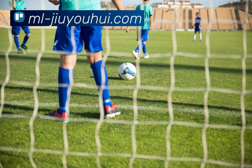 九游会J9官网服务体系